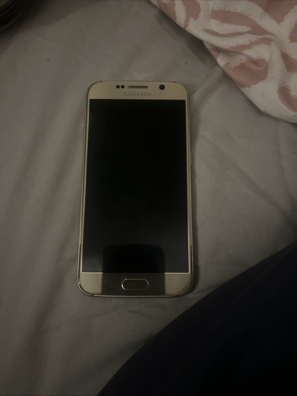 Samsung S6 Wiped Phone