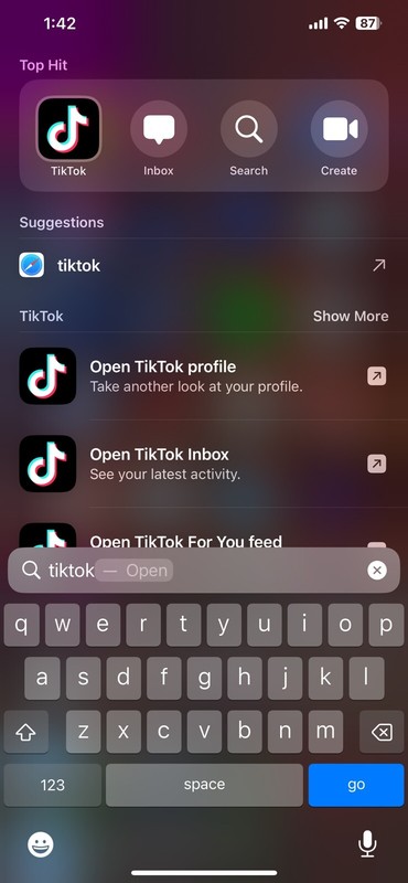 TikTok App iPhone