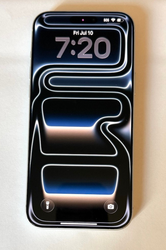 Apple iPhone 17 Pro Max – 256 GB – Silver (Unlocked) NEW UNUSED!