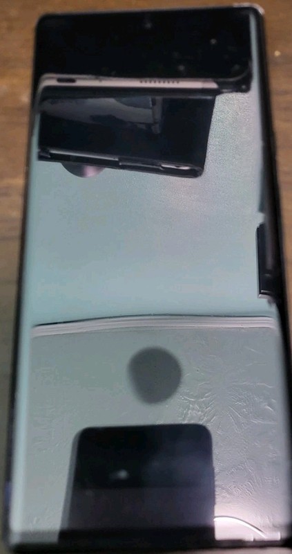 Google Pixel 6 Pro 128GB Carrier Unlocked 5G UW-Storm Black SCREEN PROBLEMS
